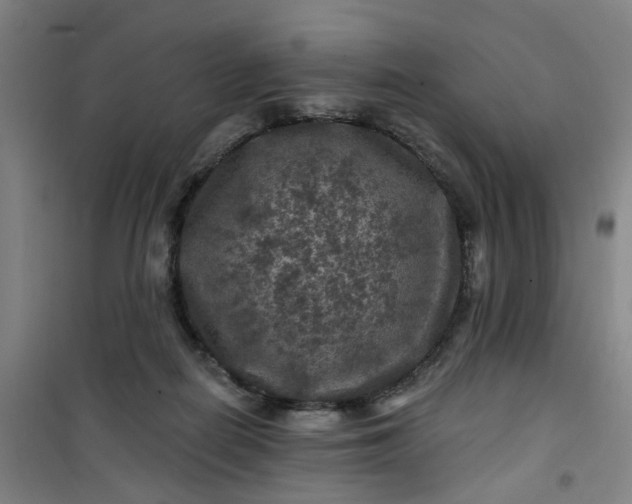 X0000101090266200807101555