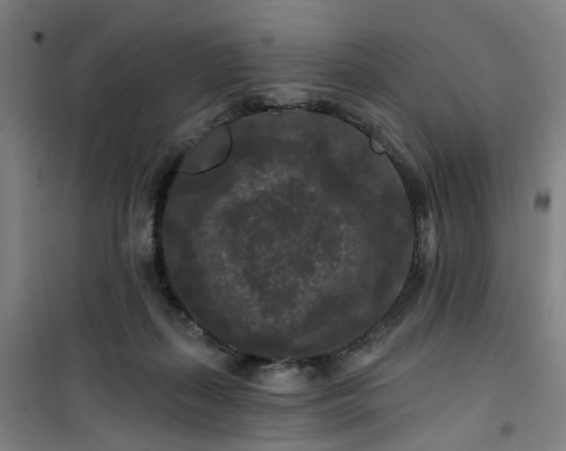 X0000101090267200807101555