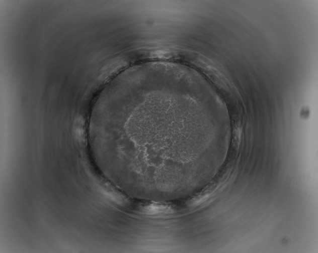 X0000101090270200807101555