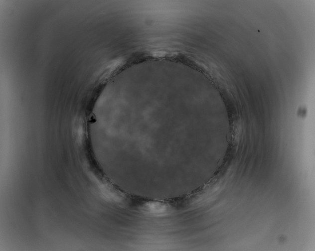 X0000101090272200807101555