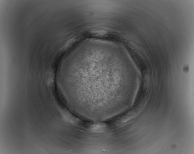 X0000101090274200807101555