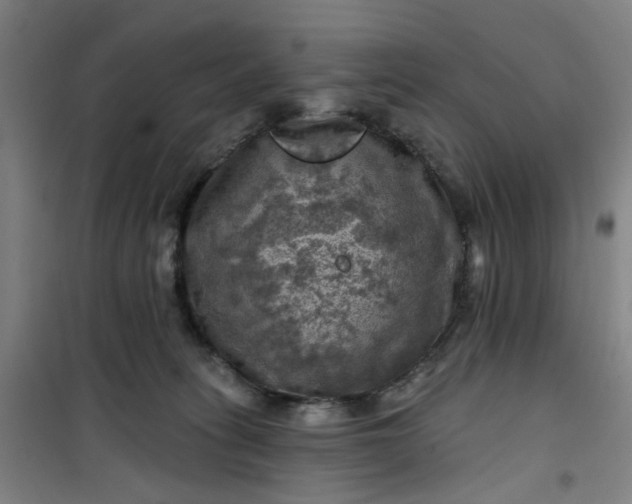 X0000101090275200807101555