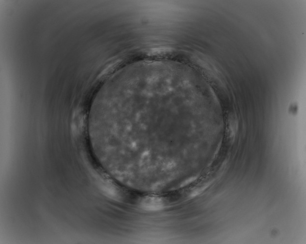 X0000101090276200807101555