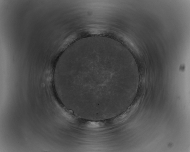 X0000101090277200807101555