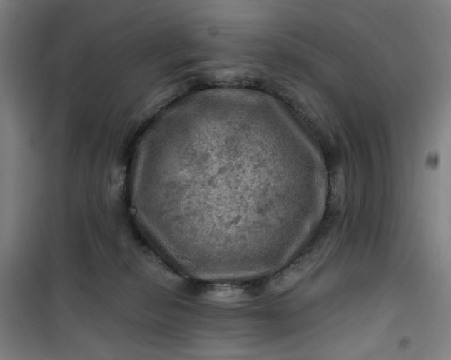 X0000101090278200807101555