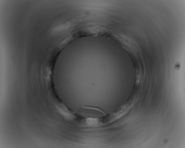 X0000101090279200807101555