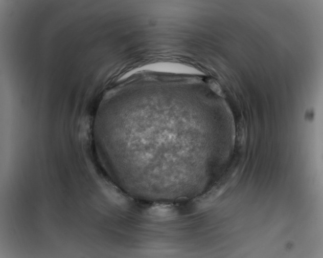 X0000101090280200807101555