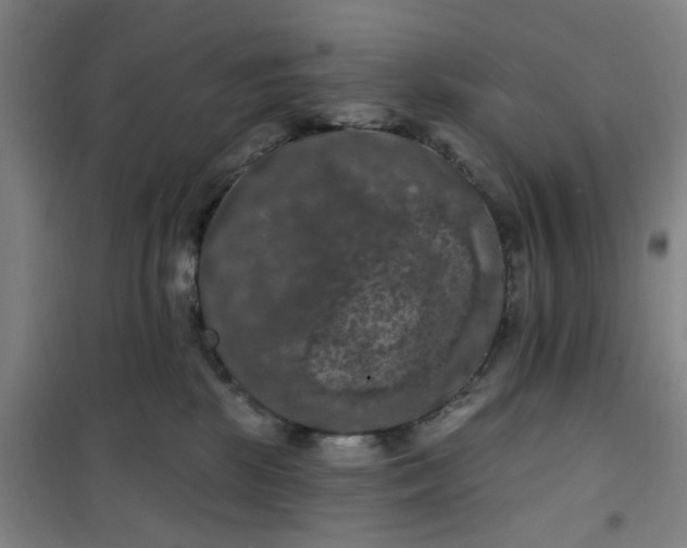 X0000101090281200807101555