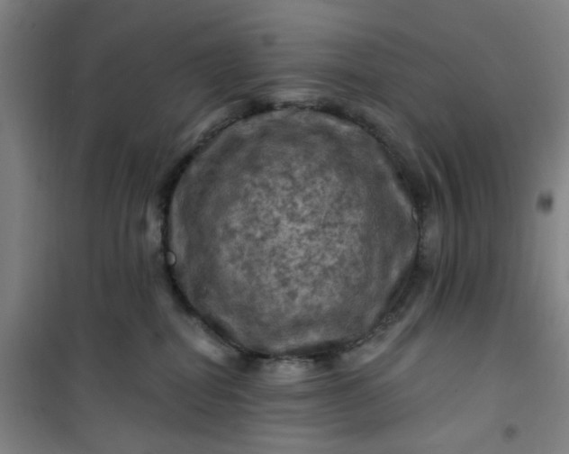 X0000101090282200807101555