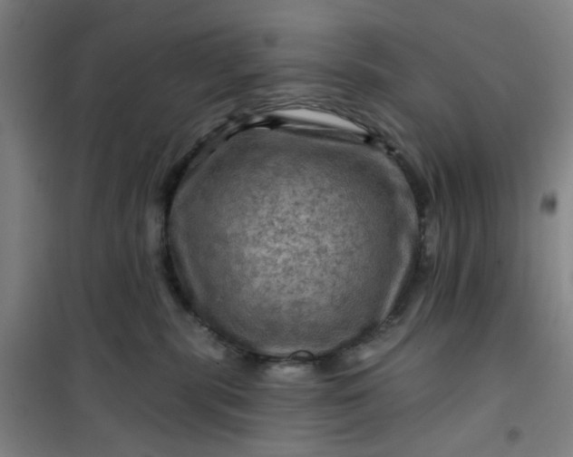 X0000101090283200807101555