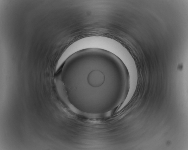 X0000101090284200807101555