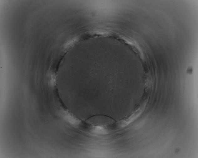 X0000101090285200807101555