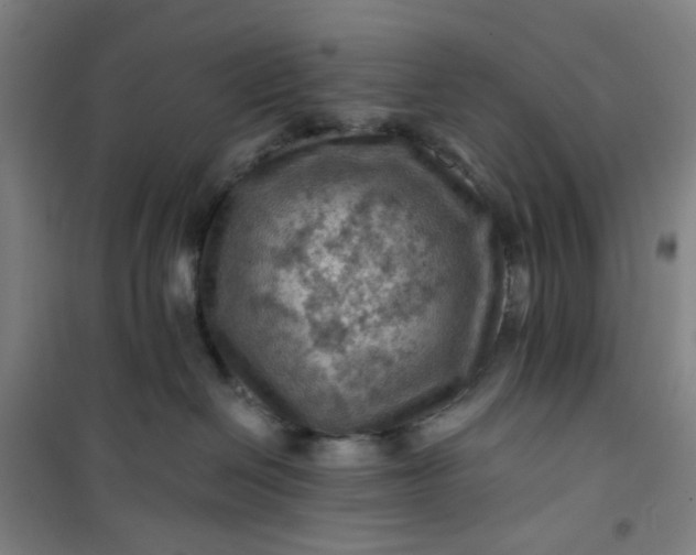 X0000101090286200807101555