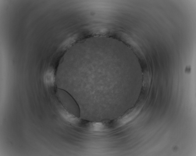 X0000101090287200807101555