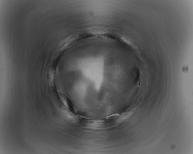 X0000101090288200807101556