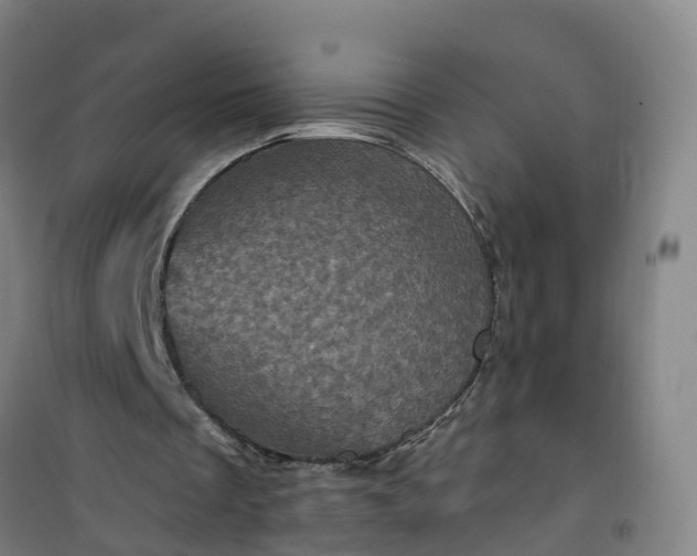 X0000101090289200807101555