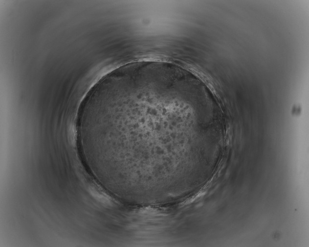 X0000101090290200807101555