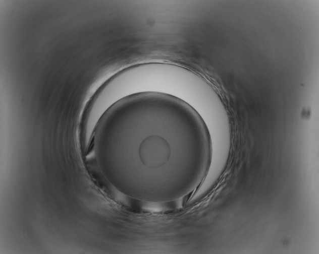 X0000101090292200807101555