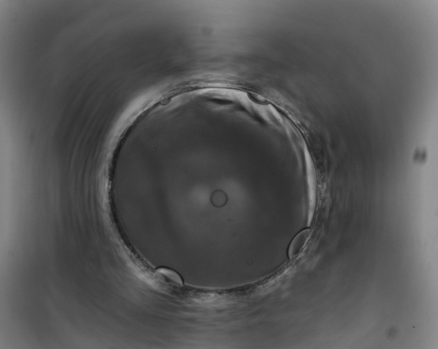 X0000101090293200807101555