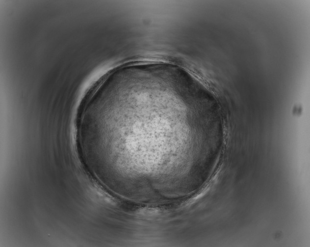 X0000101090294200807101555