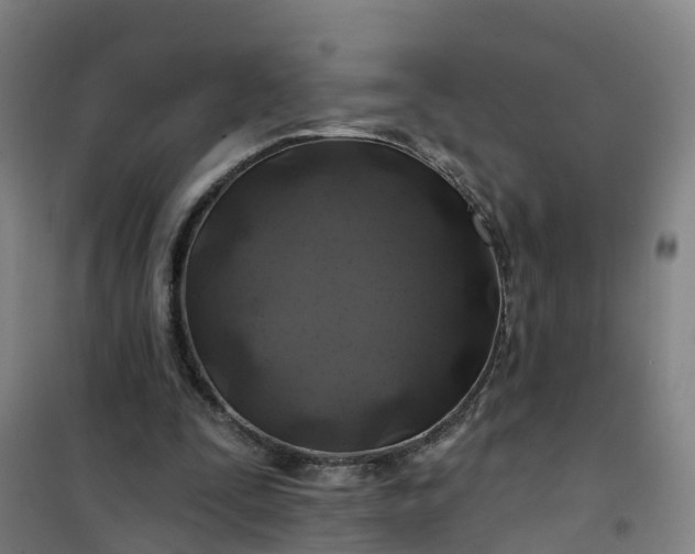 X0000101090295200807101555