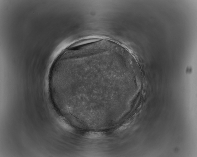 X0000101090296200807101555