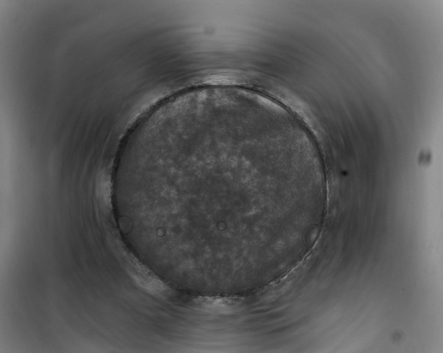 X0000101090297200807101555