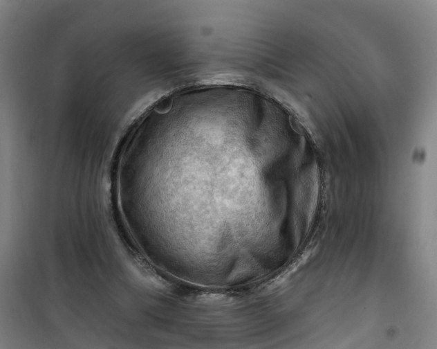 X0000101090298200807101555