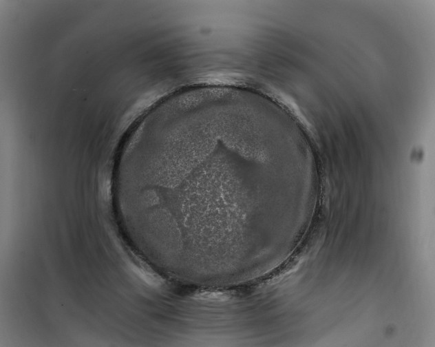 X0000101090299200807101555