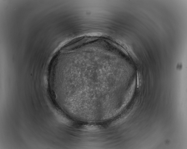 X0000101090300200807101555