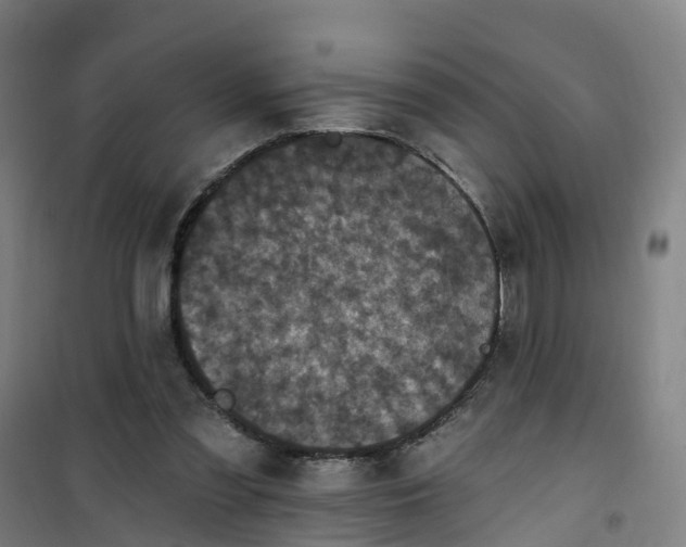 X0000101090301200807101555