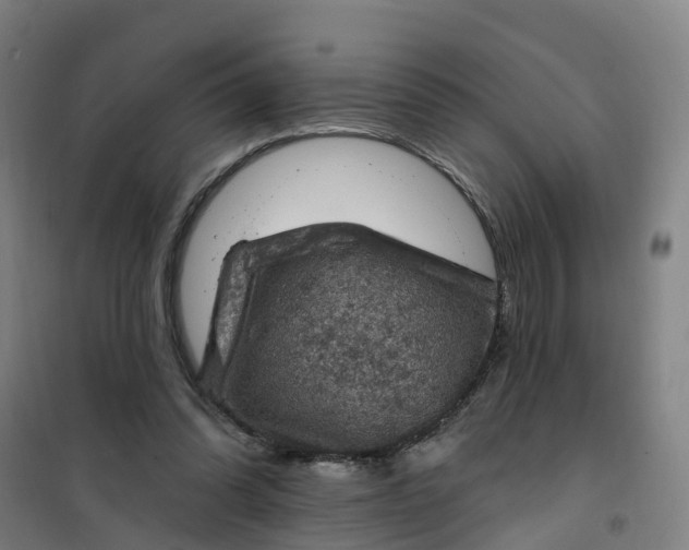 X0000101090302200807101555