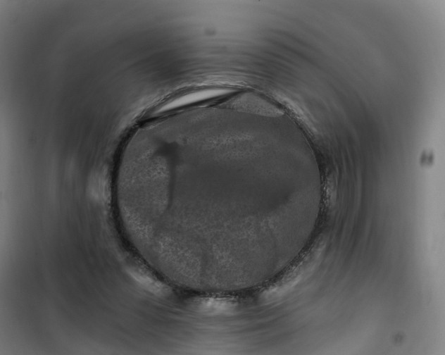 X0000101090303200807101555