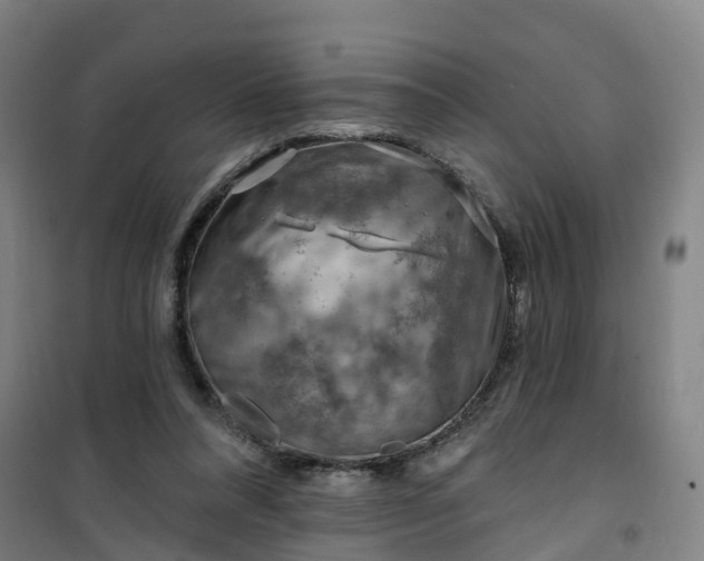 X0000101090304200807101555