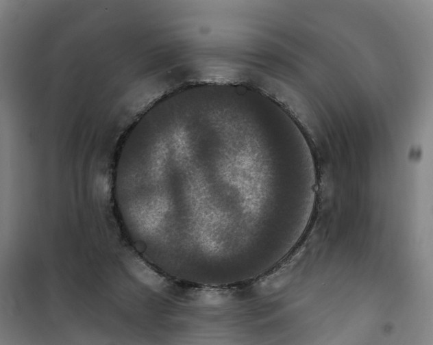 X0000101090305200807101555