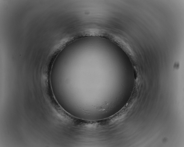 X0000101090306200807101555