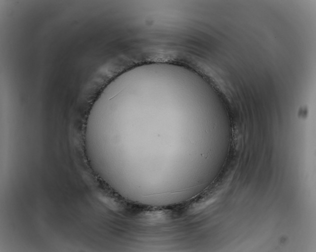 X0000101090307200807101555