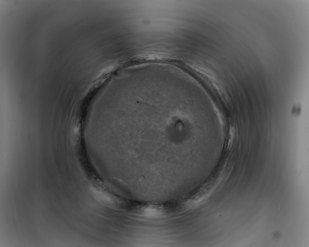 X0000101090308200807101555