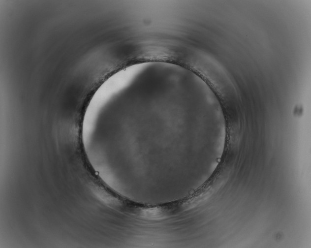 X0000101090309200807101555