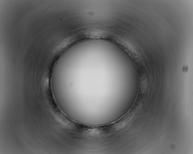 X0000101090310200807101554