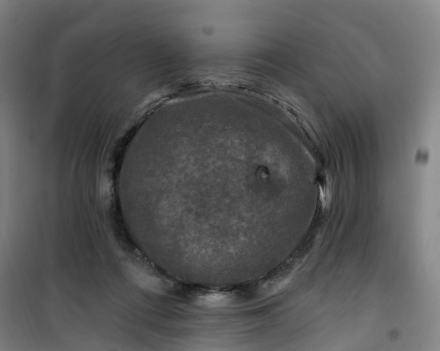 X0000101090312200807101554