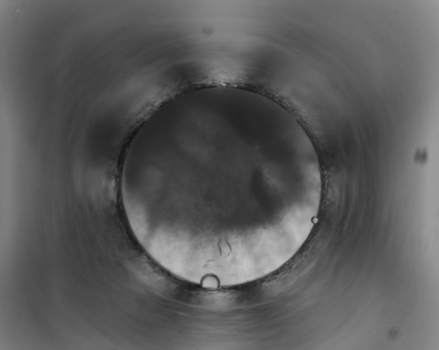 X0000101090313200807101554