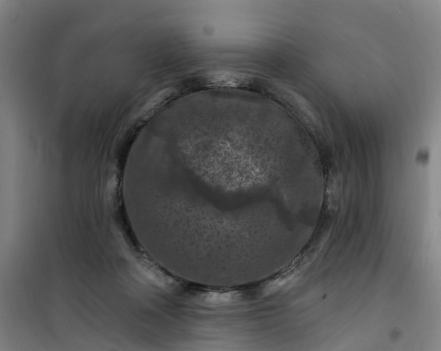 X0000101090314200807101554