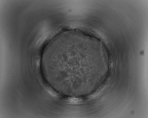 X0000101090315200807101554