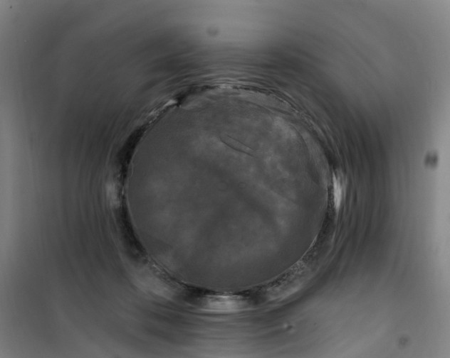 X0000101090316200807101554