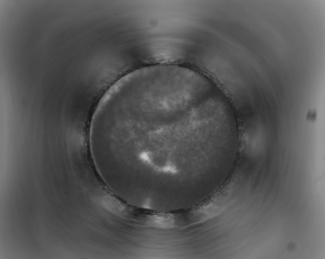 X0000101090317200807101554