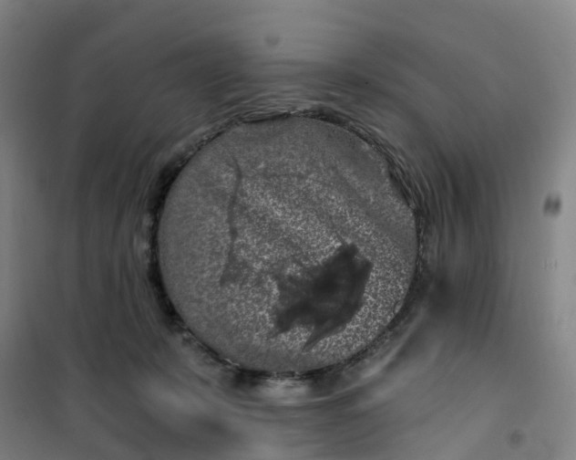 X0000101090319200807101554