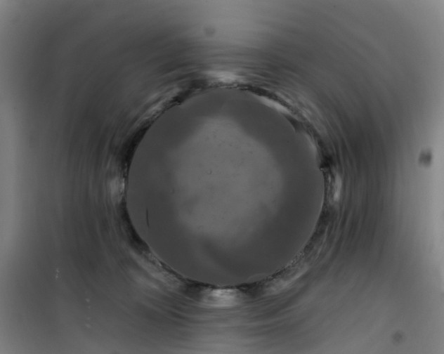 X0000101090324200807101554