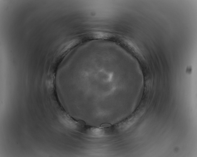 X0000101090325200807101554