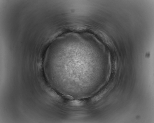 X0000101090326200807101554